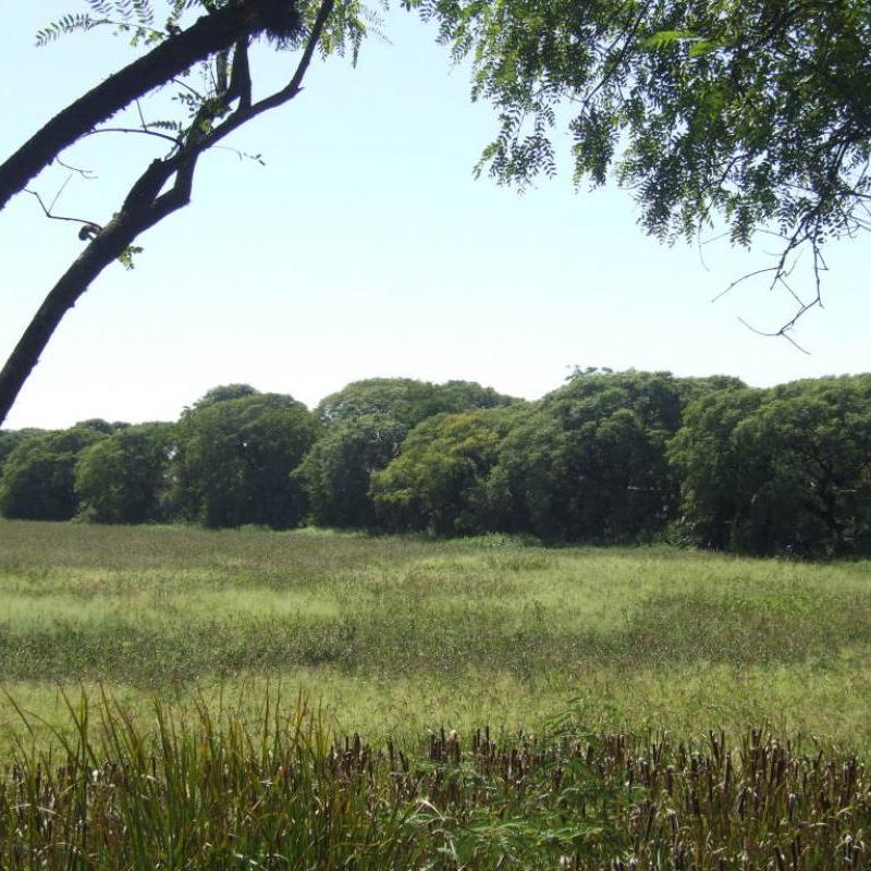 Ecological Reserve