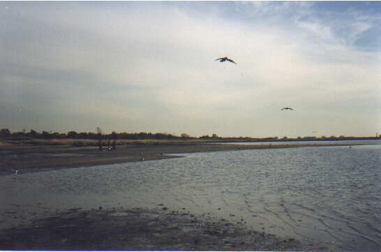 [Beach]